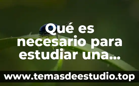 Que es lo que significa estudiar filosofia 4 Qué es necesario para estudiar una maestría