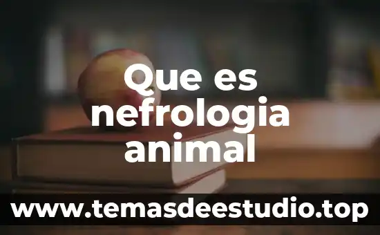 Que es la proteccion animal mundial 8 Que es nefrologia animal