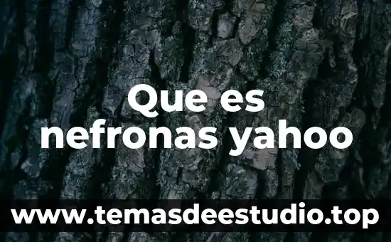Que es la oferta de trabajo yahoo 4 Que es nefronas yahoo
