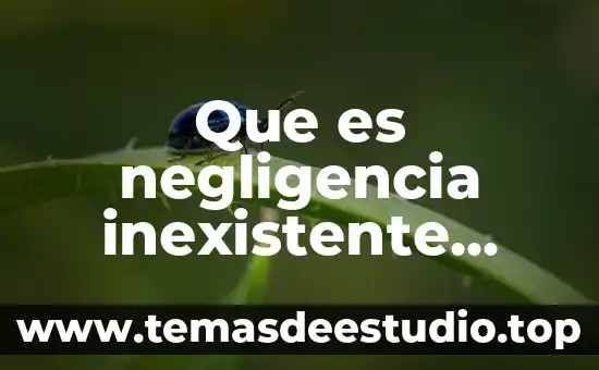 Qué es el significado brunner 4 Que es negligencia inexistente significado juridico