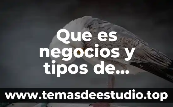Qué es la teoría de los negocios 4 Que es negocios y tipos de negocios