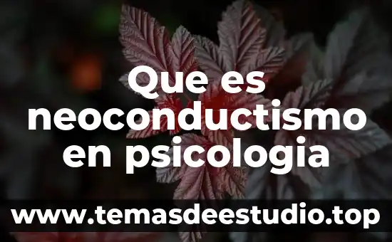 Psicologia el color que es 5 Que es neoconductismo en psicologia