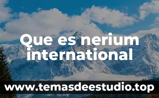 Nacho Vegas que es lo que comen las brujas 7 Que es nerium international