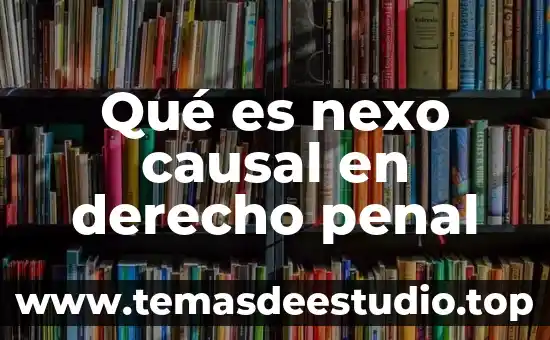 Que es derecho penal segun zaffaroni 7 Qué es nexo causal en derecho penal