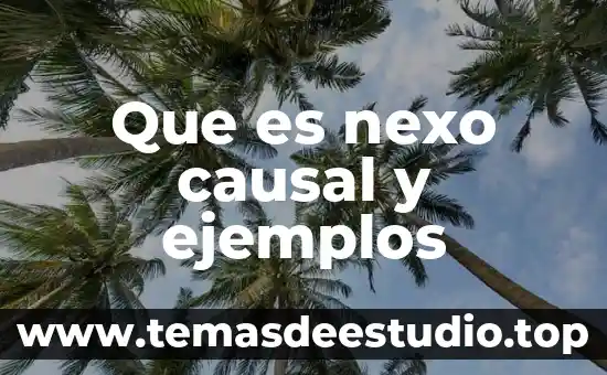Que es ser soberbio ejemplos 4 Que es nexo causal y ejemplos
