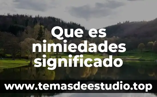 Qué es un tapete de felpa significado 3 Que es nimiedades significado