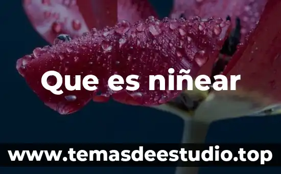 Que es niñear