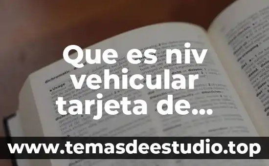 Que es gestion hospitalaria concepto 5 Que es niv vehicular tarjeta de circulacion