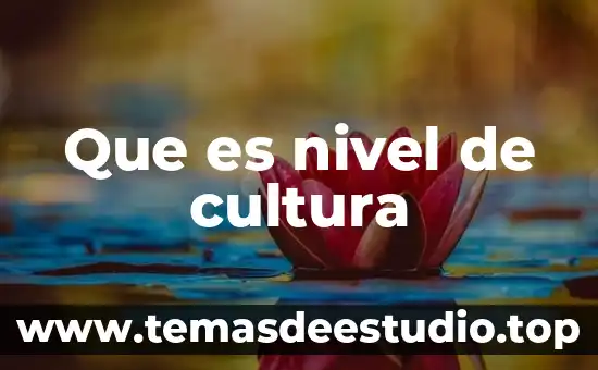 Que es nivel de cultura