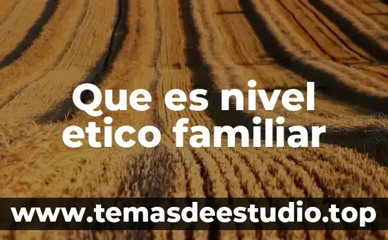 Que es el nivel bajo en danza folklorica 3 Que es nivel etico familiar