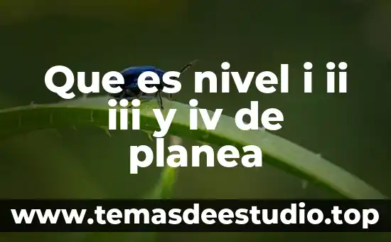 Que es nivel i ii iii y iv de planea