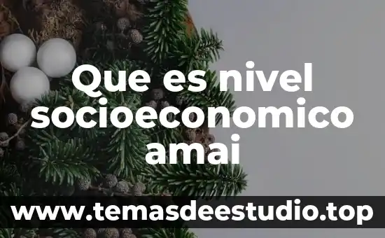 Que es el nivel de oracticas y creencia 6 Que es nivel socioeconomico amai