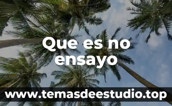 Queesuna sintesisi y que es un ensayo 8 Que es no ensayo
