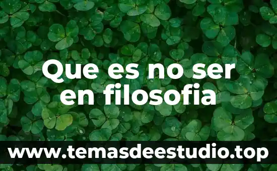 Que es ser un ni 3 Que es no ser en filosofia