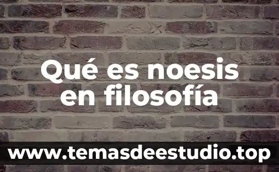 Qué es noesis en filosofía