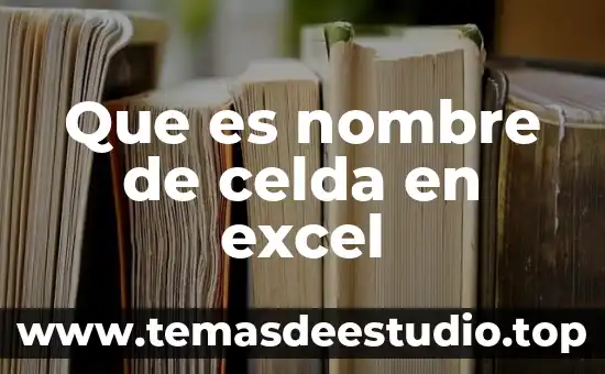 Que es cs en programacion 8 Que es nombre de celda en excel