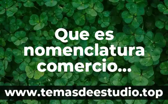 Qué es número exterior e interior ejemplo 4 Que es nomenclatura comercio exterior