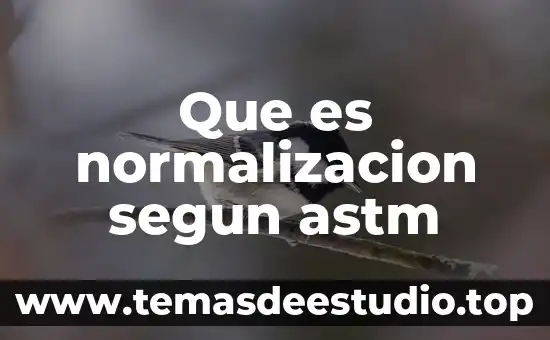 Objeto de normalización que es 4 Que es normalizacion segun astm