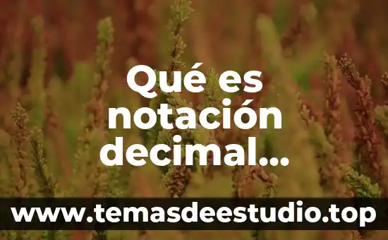 Que es historia conceptos de autor 6 Qué es notación decimal punteada
