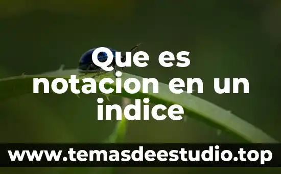 Que es el indice de masa corpopral 8 Que es notacion en un indice