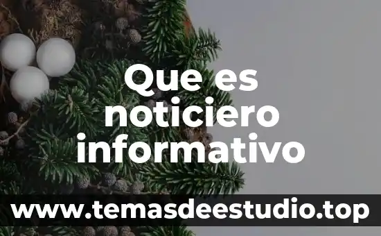Que es un rticulo informativo 5 Que es noticiero informativo