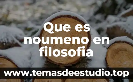 En filosofía que es crítica 5 Que es noumeno en filosofia
