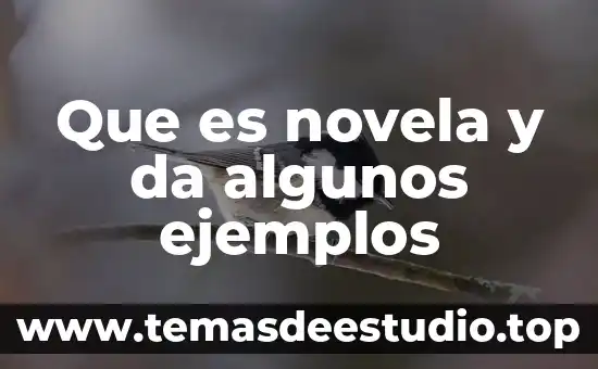 Que es investigar y algunos ejemplos 5 Que es novela y da algunos ejemplos