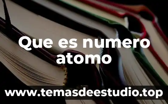 Qué es el número patronal del trabajo 7 Que es numero atomo