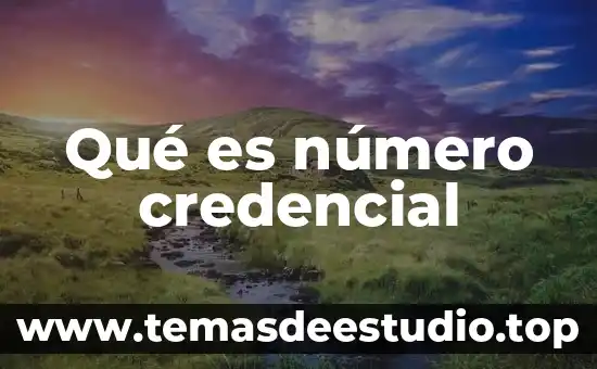 Qué es número gráfico 7 Qué es número credencial