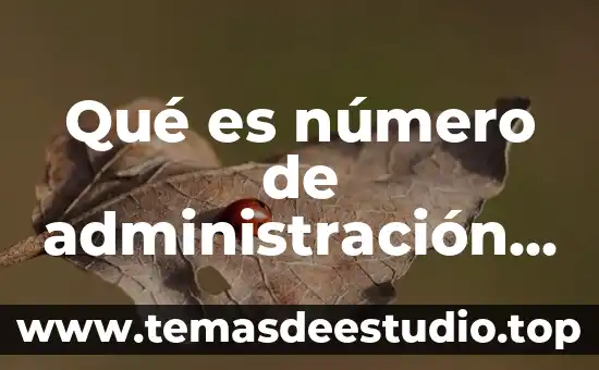 Que es input y output en administracion 7 Qué es número de administración desconcentrada de auditoría fiscal
