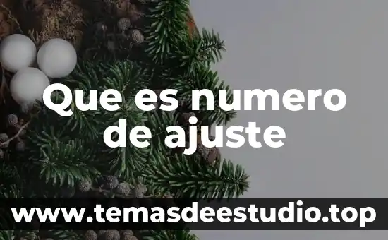 Que es numero de ajuste