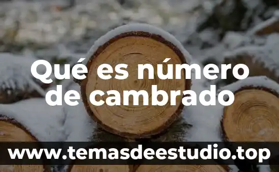 Qué es el número de la factura 7 Qué es número de cambrado