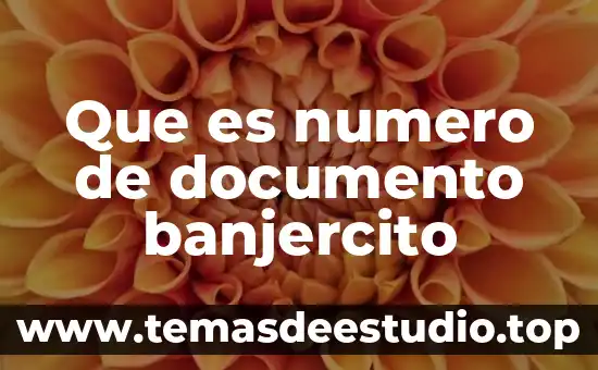Qué es un número homogéneos 8 Que es numero de documento banjercito