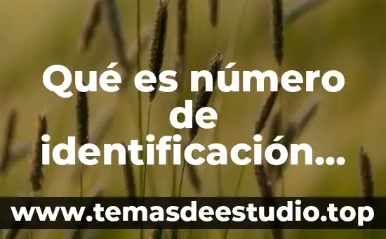 Que es codigo penal del estado de jalisco 7 Qué es número de identificación del estado