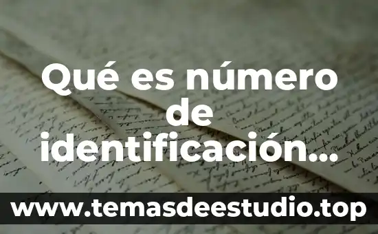 Que es ser un padron 4 Qué es número de identificación del padrón de