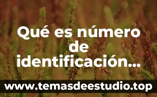 Que es costo puro 6 Qu茅 es n煤mero de identificaci贸n personal pin
