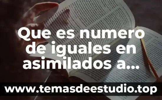 Qué es el número de registro fiscal 6 Que es numero de iguales en asimilados a salarios