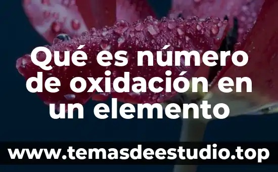 Que es el numero de oxidacion unam 7 Qué es número de oxidación en un elemento