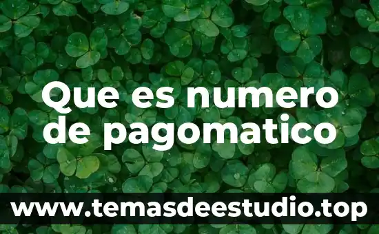 Número de control BNC 3 Que es numero de pagomatico