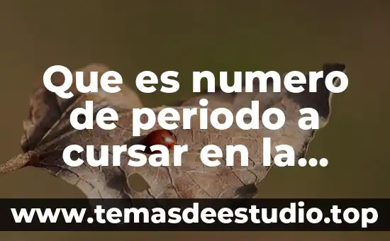 Qué es el número de registro de Avon 8 Que es numero de periodo a cursar en la escuela