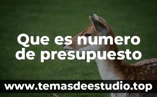 Que es numero de presupuesto