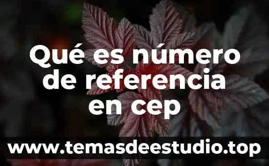 Qué es un número factorable 4 Qué es número de referencia en cep