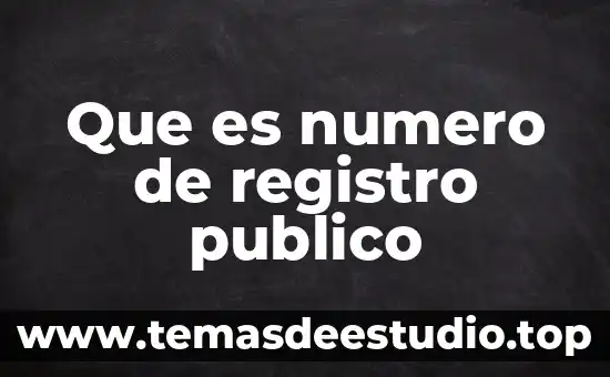 Número de control BNC 7 Que es numero de registro publico