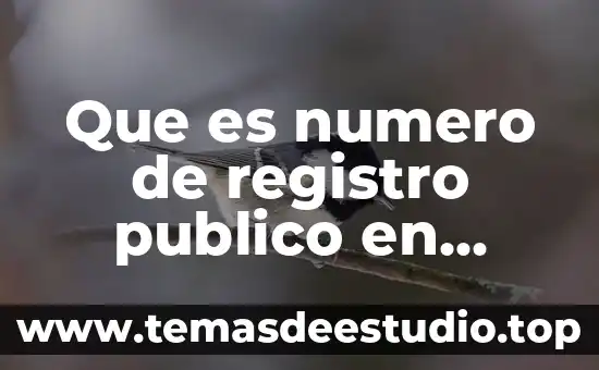 Que es garantia de conocimiento en filosofia 5 Que es numero de registro publico en garantía hipotecaria