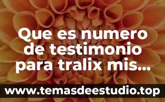 Número de control BNC 5 Que es numero de testimonio para tralix mis facturas