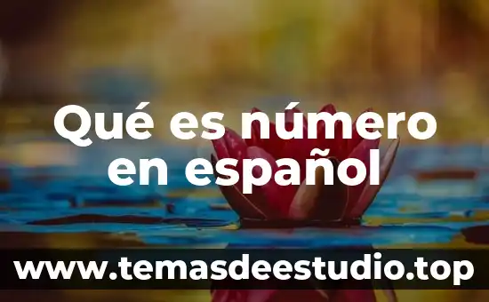 Qué es el número Miriam Nemirosky 8 Qué es número en español