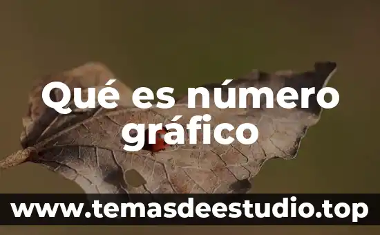 ¿Qué es el número de SIM? 4 Qué es número gráfico