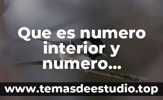 Qué es número exterior e interior ejemplo 6 Que es numero interior y numero exterior
