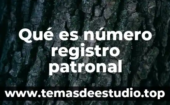 Para que es útil conocer el número de Reynolds 5 Qué es número registro patronal