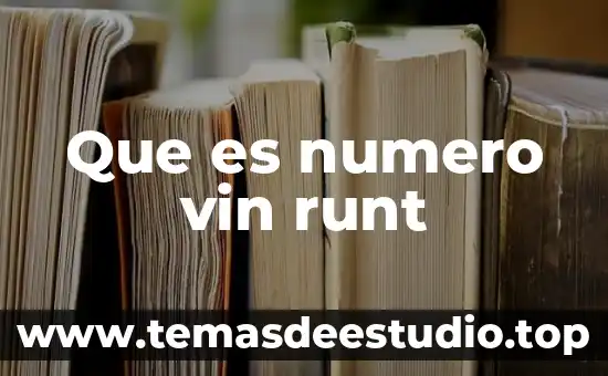 Qué es un número homogéneos 6 Que es numero vin runt